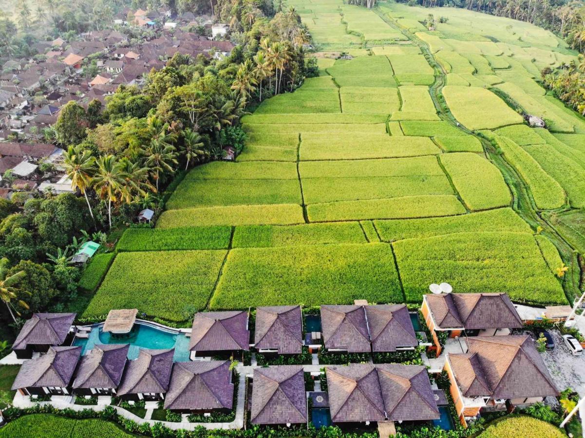 Kayangan Villa Ubud Tegallalang  Ngoại thất bức ảnh